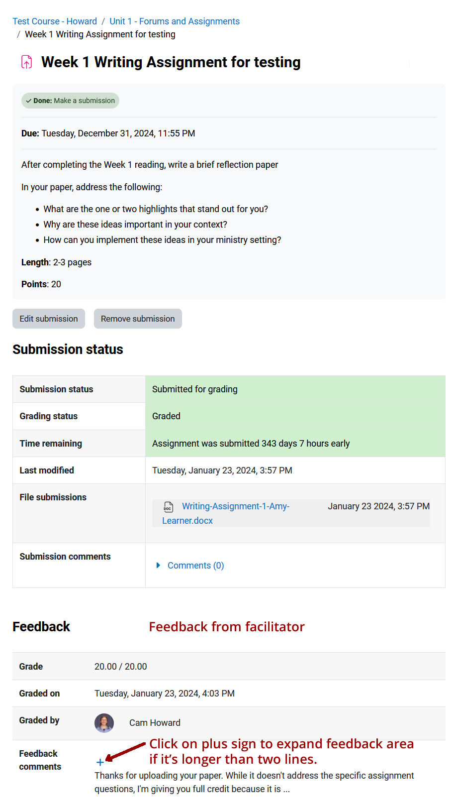 Screenshot showing Feedback area at the bottom of the Assignment page.